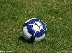 速来体验,雪人伙伴,共赴哈尔滨,永利高70net集团,永利高70net官方,永利高70net登录