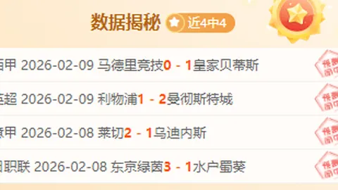 太阳队主场失利，连败终结